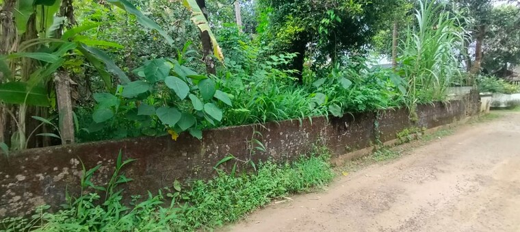 undefined, viyyur  5882 Sq.Ft. Plot In Viyyur Thrissur 10521454