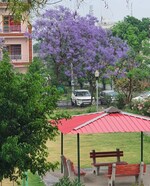 2.5 BHK + Store Room 150 Sq.Yd. Builder Floor in Sector 77