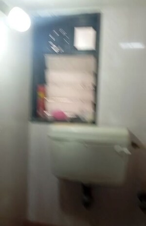 Bathroom in 1 BHK Apartment at Wadala West – for Rent
