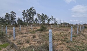  Plot For Rent in Ajjanahalli