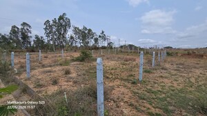 Plot Area in  Plot at Ajjanahalli – for Rent