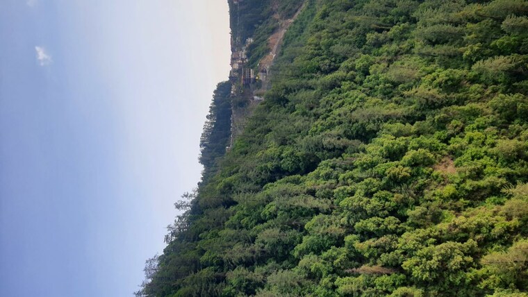 Garden, mashobra 3 Bedroom 1000 Sq.Ft. Apartment In Mashobra Shimla 10522686