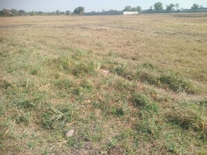 Plot Area in  Industrial Plot at Padra – for Sale