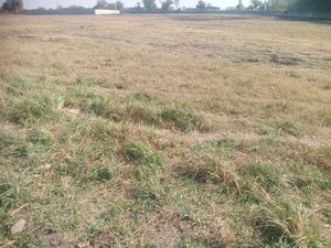 Plot Area in  Industrial Plot at Padra – for Sale