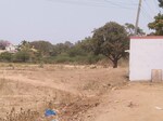 53001 Sq.Ft. Land in Chamundipuram