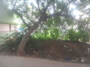  Plot For Sale in Nri Layout
