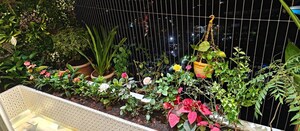 Balcony in 2 BHK Apartment at Sk Imperial Heights, Mira Road – for Sale