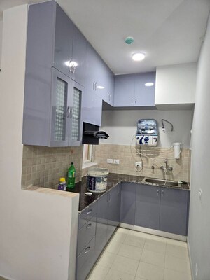 Kitchen in 2 BHK Apartment at Amrapali Centurian Park, Tech Zone 4 Greater Noida – for Rent