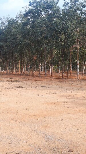  Plot For Sale in Wargal