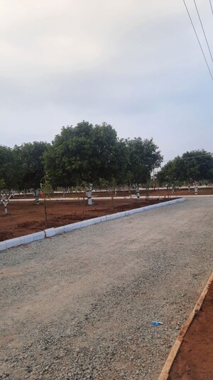  Plot For Sale in Wargal