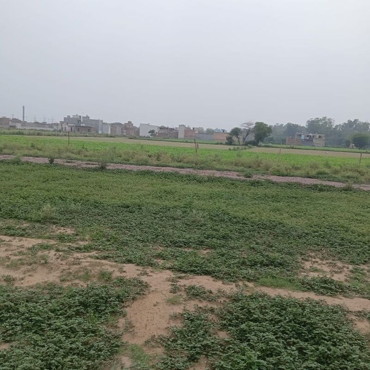 undefined, sector 56  200 Sq.Yd. Plot In Sector 56 Faridabad 10523751