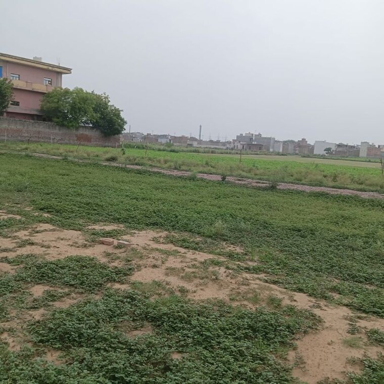 undefined, sector 56  200 Sq.Yd. Plot In Sector 56 Faridabad 10523751