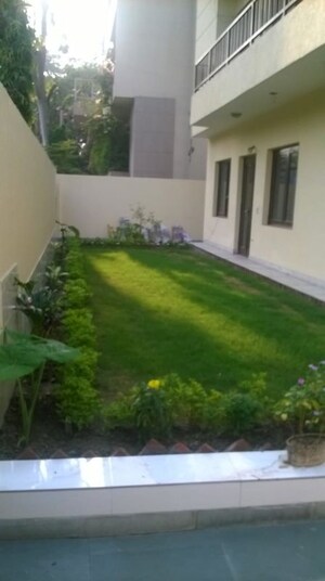 3 BHK Builder Floor For Rent in Pamposh Enclave
