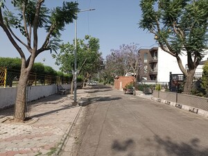  Plot – Exterior View View at Altus Prime, North Mullanpur - for Sale