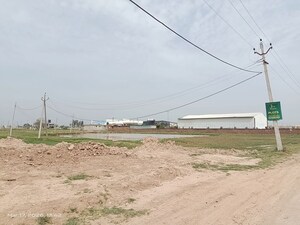 Plot Area in  Plot at Altus Prime, North Mullanpur – for Sale