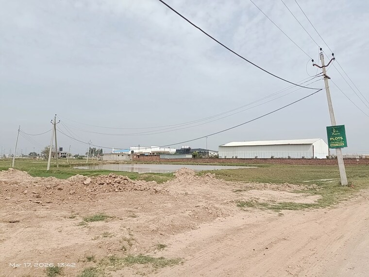 undefined, altus-prime  157 Sq.Yd. Plot In North Mullanpur Chandigarh 10523954