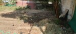 168 Sq.Yd. Land in Motia Royal Estate