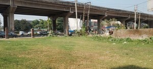  Land – Garden View at Royale Wind Cross, Ambala Highway - for Sale