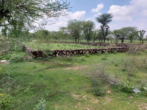  Land For Rent in Mahala