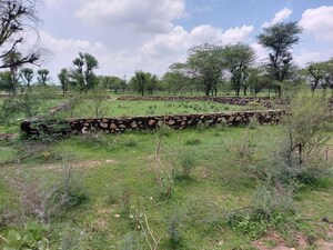 Plot Area in  Land at Mahala – for Rent