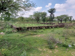 Plot Area in  Land at Mahala – for Rent