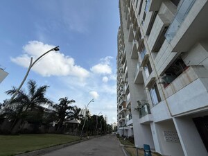 2 BHK Apartment For Rent in Pharande Puneville, Punawale