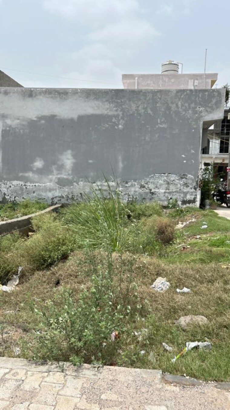 undefined, dadri  60 Sq.Yd. Plot In Dadri Greater Noida 10516843