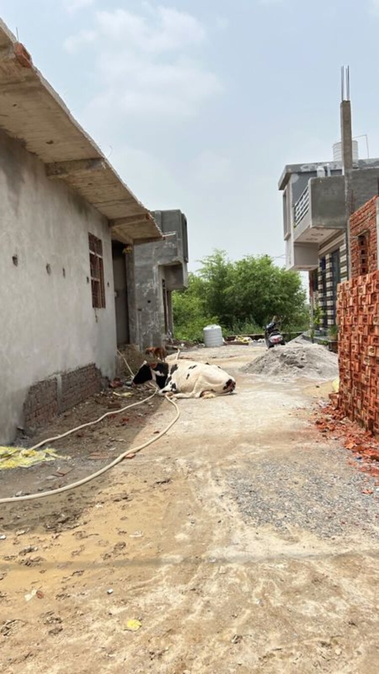 Exterior View, dadri  100 Sq.Yd. Plot In Dadri Greater Noida 10523589