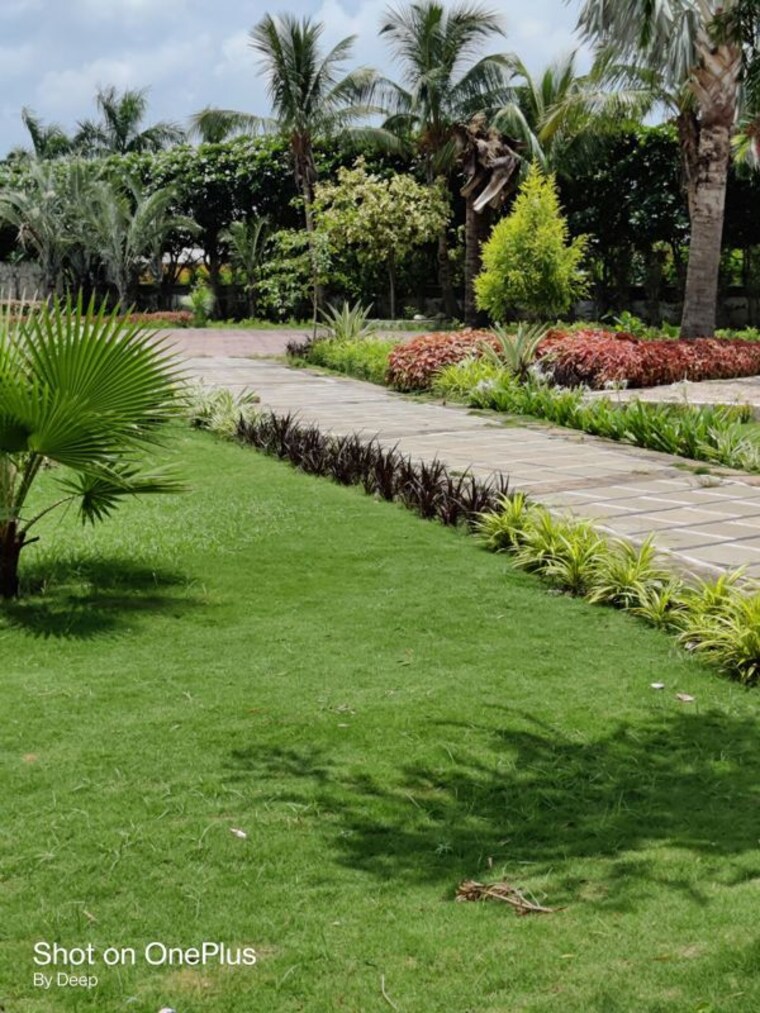 Garden, bhatagaon  7282 Sq.Ft. Plot In Bhatagaon Raipur 10519353
