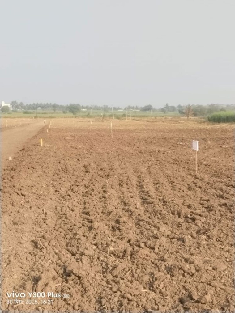 undefined, kharadi  11000 Sq.Ft. Plot In Kharadi Pune 10407855