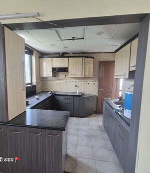Kitchen in 3 BHK Builder Floor at Sector 21 – for Rent