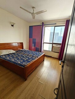3 BHK + Prayer Room,Study Room,Store Room Builder Floor For Rent in Palam Vihar Residents Association