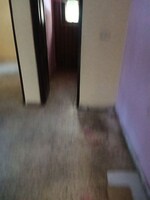 1 BHK + Extra Room 430 Sq.Ft. Builder Floor in Cassia Estate