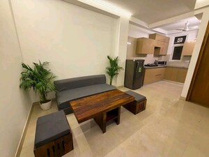 1 BHK Apartment For Rent in Chattarpur