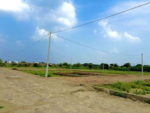 Plot Area in  Plot at Harhua – for Sale
