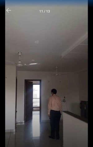 3 BHK Builder Floor For Rent in Sector 38