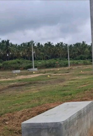 Plot Area in  Plot at Nelamangala – for Sale