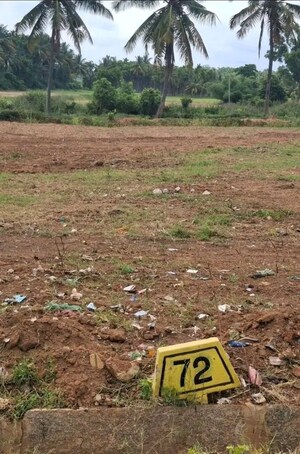Plot Area in  Plot at Nelamangala – for Sale