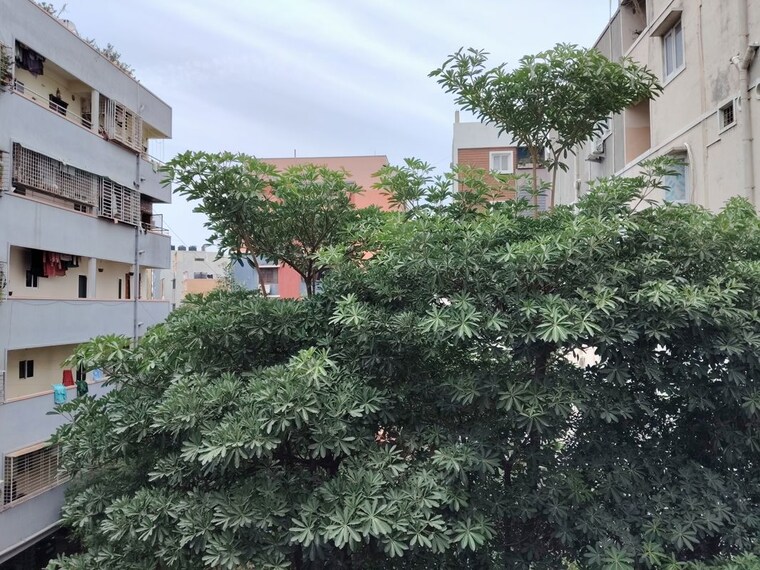 Exterior View, sai-gayatri-grand 3 Bedroom 1550 Sq.Ft. Apartment In Madhapur Hyderabad 10525601