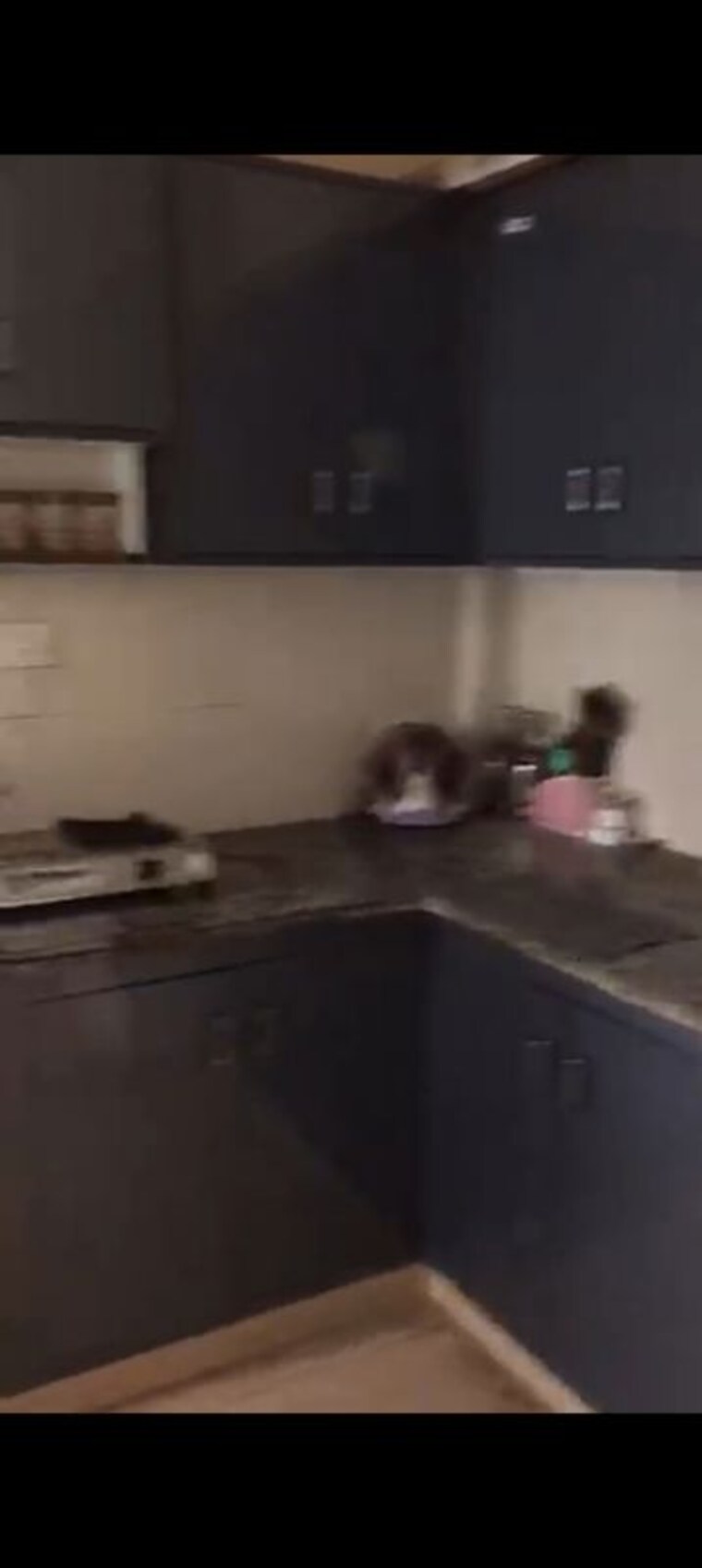 Kitchen, kbnows-apartment 4 Bedroom 1940 Sq.Ft. Apartment In Sector 16 Greater Noida Greater Noida 10481306