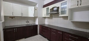 Kitchen in 3 BHK Builder Floor at Sector 22 – for Rent