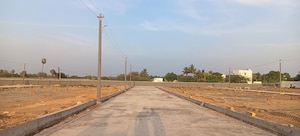 Plot Area in  Plot at Panjappur – for Sale
