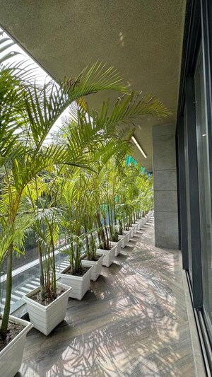 Balcony in 4 BHK Builder Floor at Anand Lok – for Sale