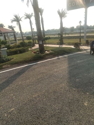  Plot – Exterior View View at Sector 6 - for Sale