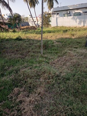 Plot Area in  Plot at Palangi – for Sale
