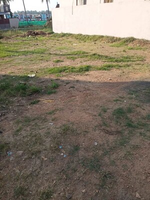  Plot For Sale in Palangi