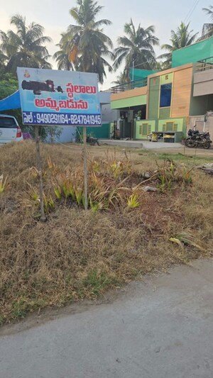  Plot – Exterior View View at Palangi - for Sale
