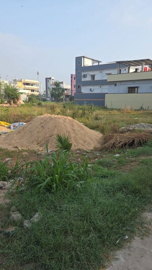 Plot Area in  Plot at Palangi – for Sale