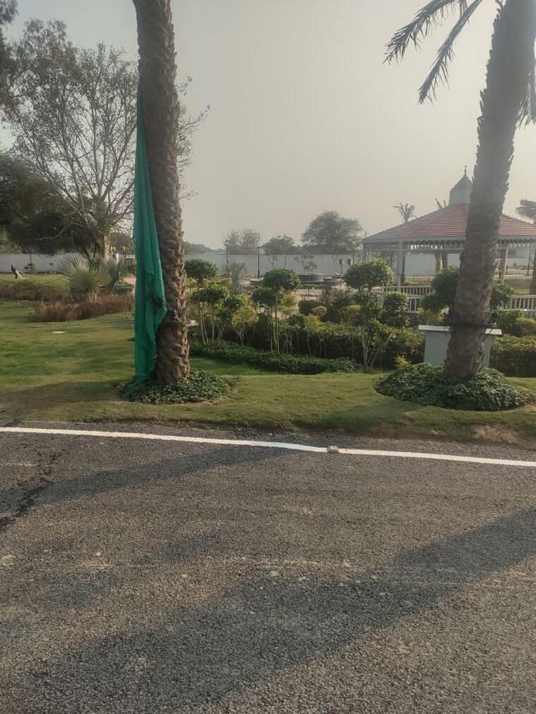 Garden, sector 10  125 Sq.Yd. Plot In Sector 10 Palwal 10526529