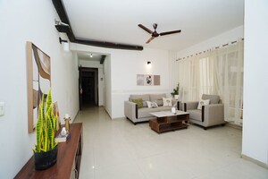 3 BHK Apartment For Sale in Sam Palm Olympia, Sector 16c Greater Noida